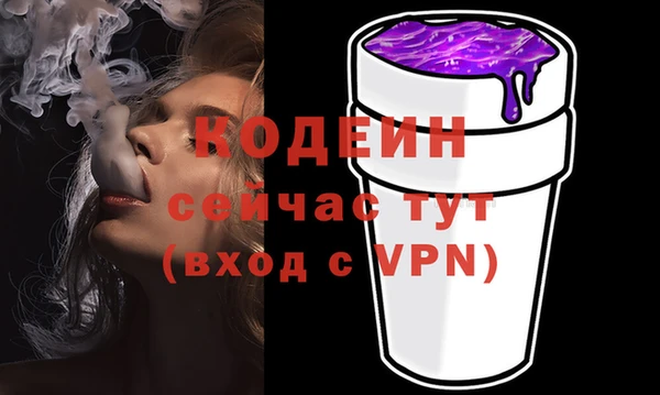 МДПВ Инсар