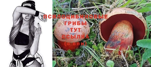 МДПВ Инта
