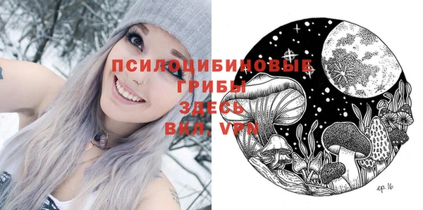 дживик Алексин