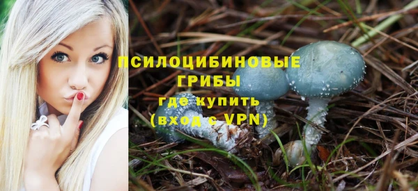 дживик Алексин