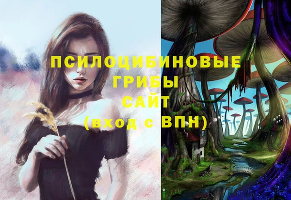 твердый Алзамай